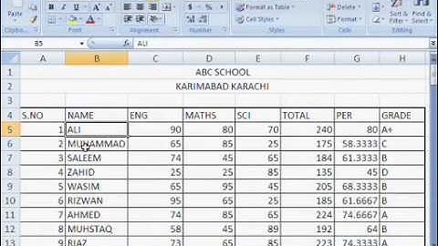 9  MS Excel 2007 Urdu Video Course Class 9  BY ALI RAZA 016 8155736