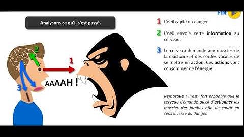 Capteurs - Actionneurs - Interface