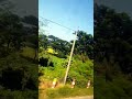 #beautyofnaturebeauty & #nature #rural #vlog   #views #viral #shorts #trending #naturalbeauty