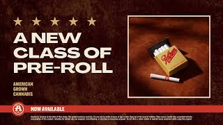 Anthem Pre-Rolls - Bold Flavors