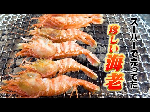 へんな魚おじさんのひとり言 - YouTube