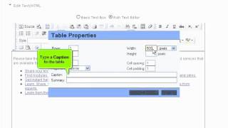 Tutorial: How to work with tables and format text in DotNetNuke | LayerOnline Web Hosting