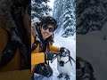 penguin ka cigaret Ireland #ai #trending #viral #youtubeshorts #aivideos #funny