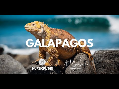 Video: Hurtigruten'in Galapagos Gemi Yolculuğuna Açıldım-İşte Böyleydi