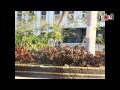 انتظام الدراسة في جامعة الأزهر انتظام الدراسة في جامعة الأزهر
