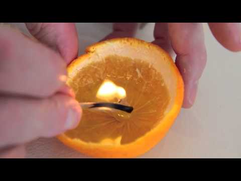 How To Make a Clementine Candle - Apartment Therapy