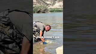 Сомовете и шараните, които са мечта за всеки рибар.. #fishing #cat #siluro #сом
