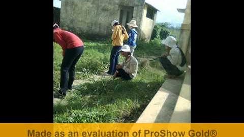 lớp 2222212do1 4ever .mpg