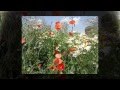 Capture de la vidéo Psychic Tv Dreams "Eden"