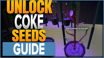 How To Unlock Coke In Schedule 1