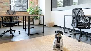 Industrious Hub | 1720 W Division St, Chicago IL | The Ultimate 60622 Address