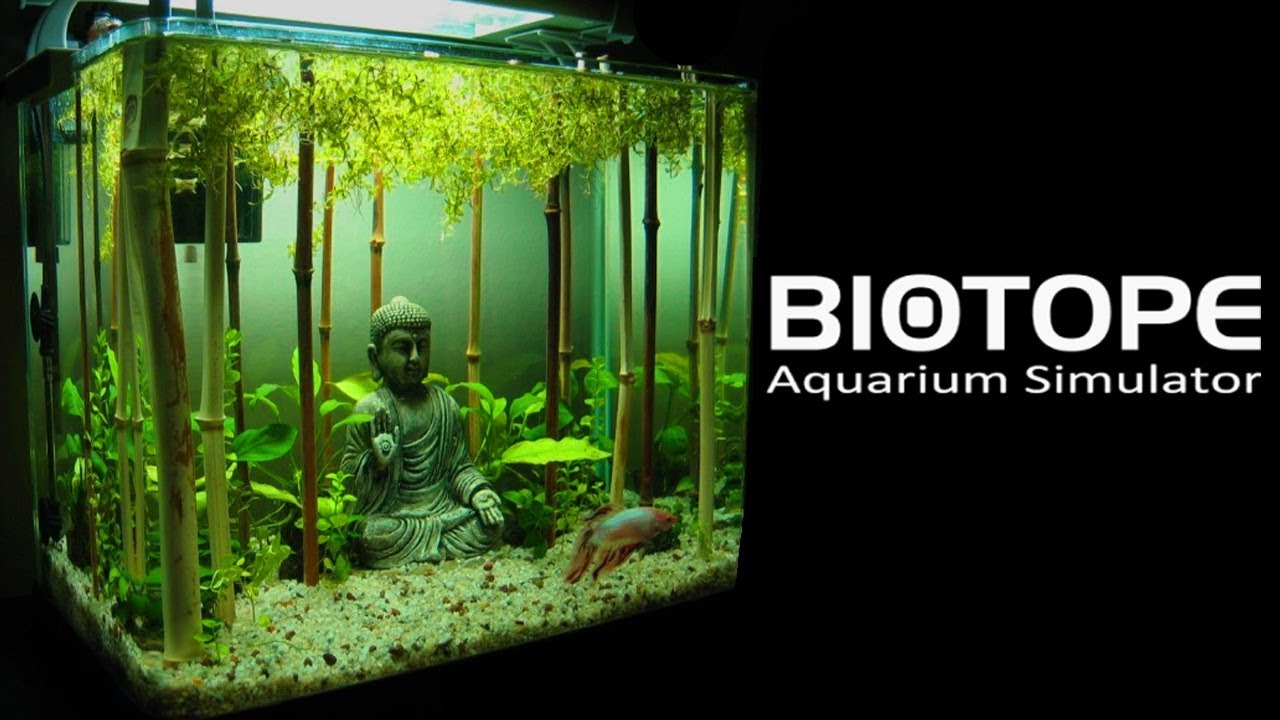 biotope-aquarium-simulator-first-impressions-gameplay-pc-steam-hd-youtube