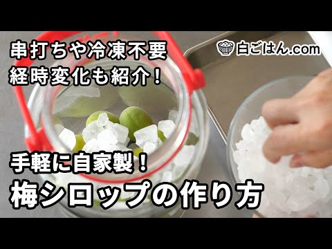 梅シロップの作り方