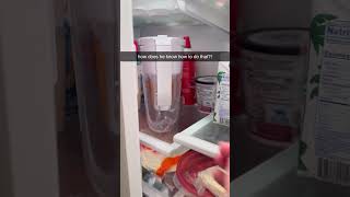 This Dog Knows How To What?