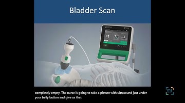 Ben Thrower, MD: Where’s the Bathroom? Managing Bladder Issues in MS: February 2025