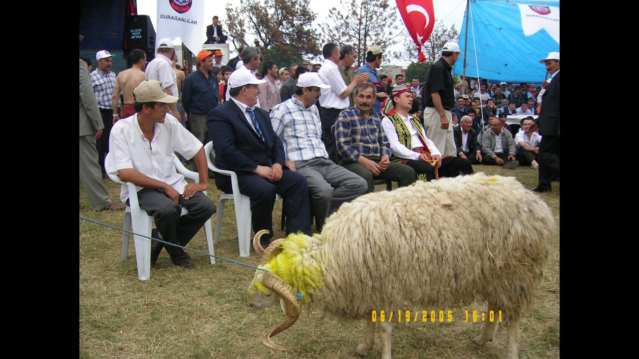 Yayla şenliklerimiz