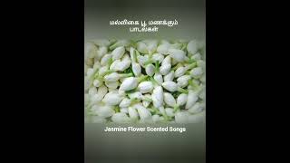 மல்லிகைப் பூ மணக்கும் பாடல்கள் || Tamil Melody Hit Songs || Tamil Beautiful Songs || Illyaraja Songs