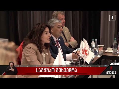 სამუშაო შეხვედრა