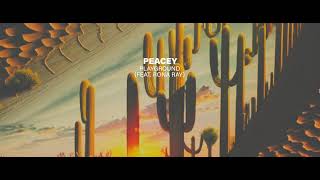 Peacey - Playground (feat. Rona Ray)
