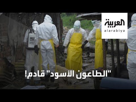 بعد كورونا الطاعون الأسود قادم أيضا من الصين