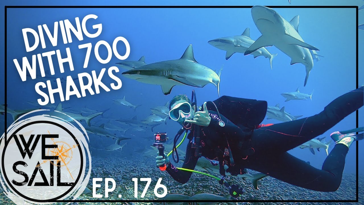 Diving with 700 Sharks at Fakarava South Pass | Episode 176