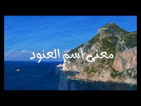 معنى أسم العنود 