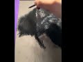 🔥 PASTEL SEC : Le SECRET d’une FOURRURE ULTRA RÉALISTE (Panthère noire bluffante) 🐆✨
