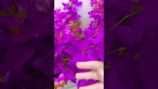 passeando um pouco #fadas #flores #plantas #fairys