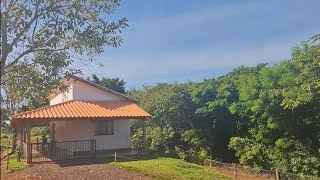 Como está  o jardim da casa dos primos !!!
