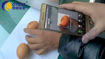 CYCJET ALT390 Egg QR Code Printing