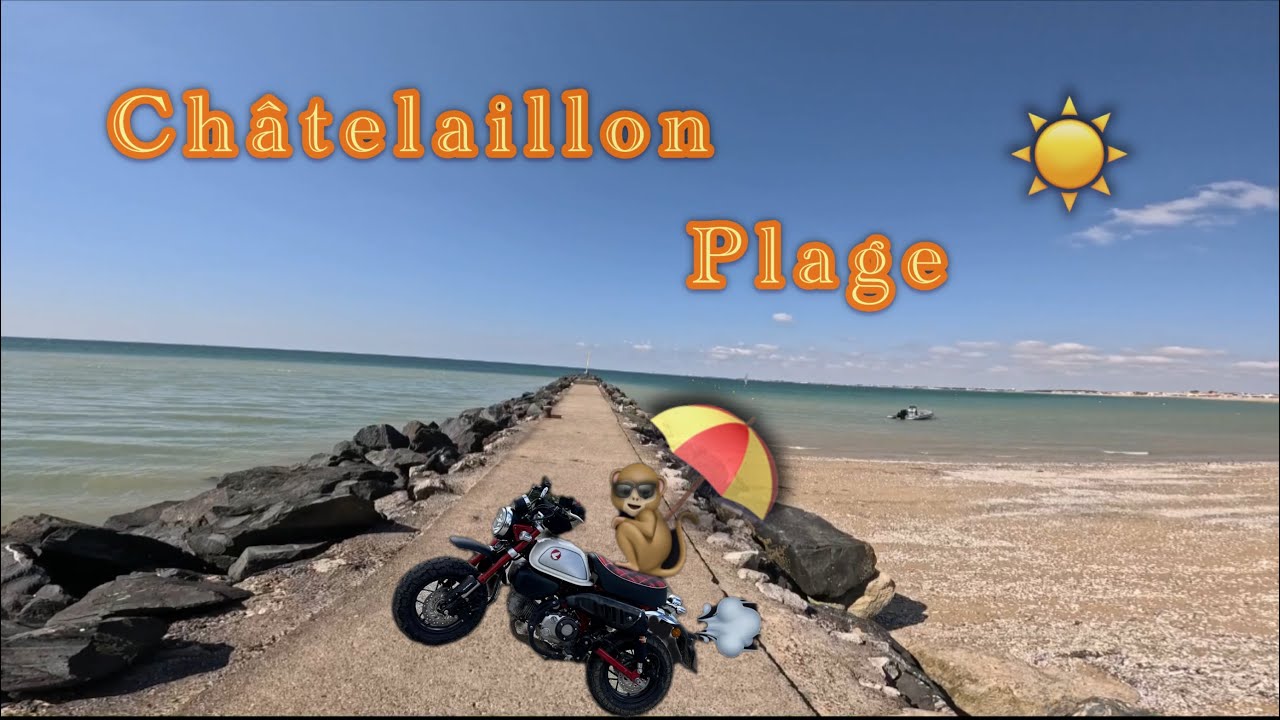 Balade avec le monstre 🐒 Châtelaillon Plage ⛱️☀️