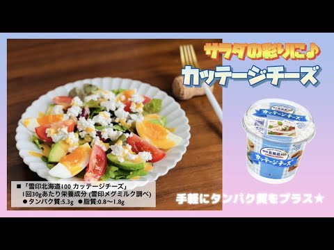 カッテージチーズサラダ Youtube