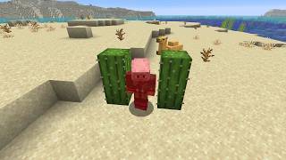 News in Data Pack Version 124.0 and Resource Pack Version 100.1 (26.4 Snapshot 4)