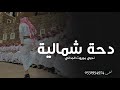 شيلة دحه شماليه | نحيي موروث الجداني | شيلات دحه شمالية  2024