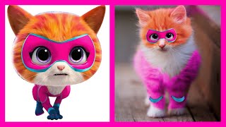 Superkitties In Real Life