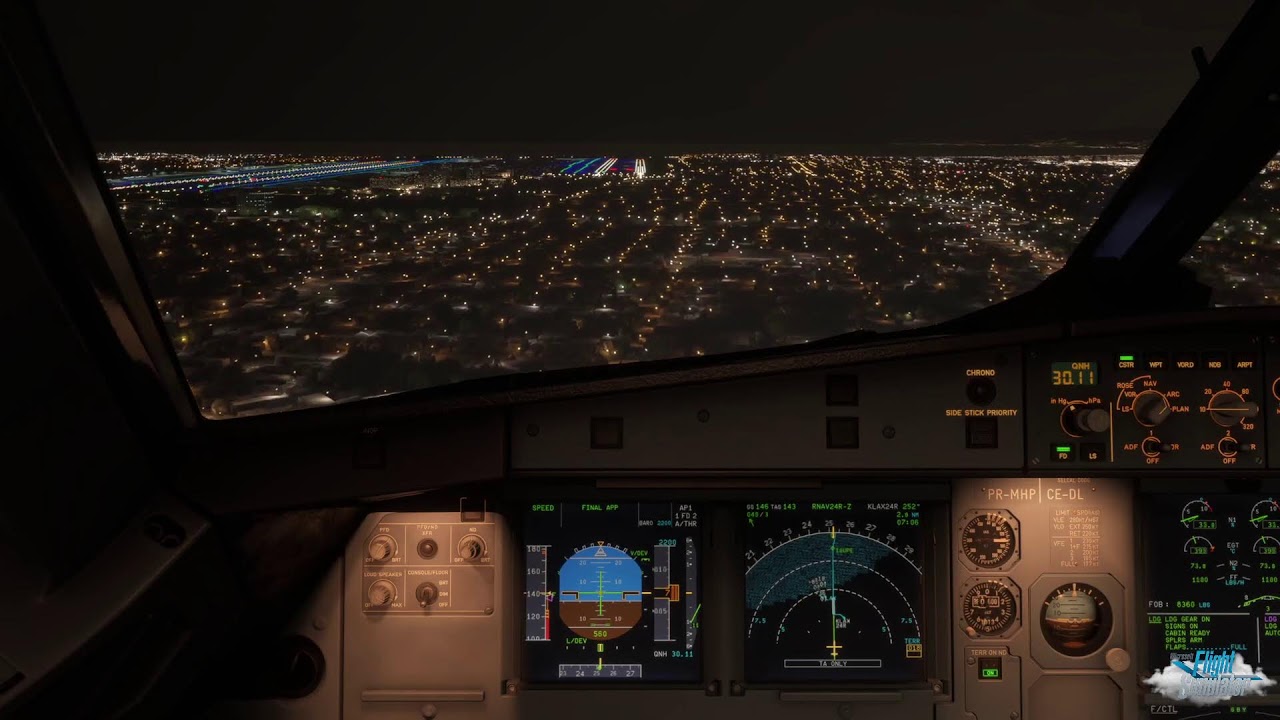 FLIGHT SIMULATOR