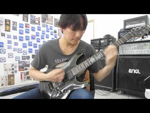 Schecter Damien Elite 6 Fr Guitar