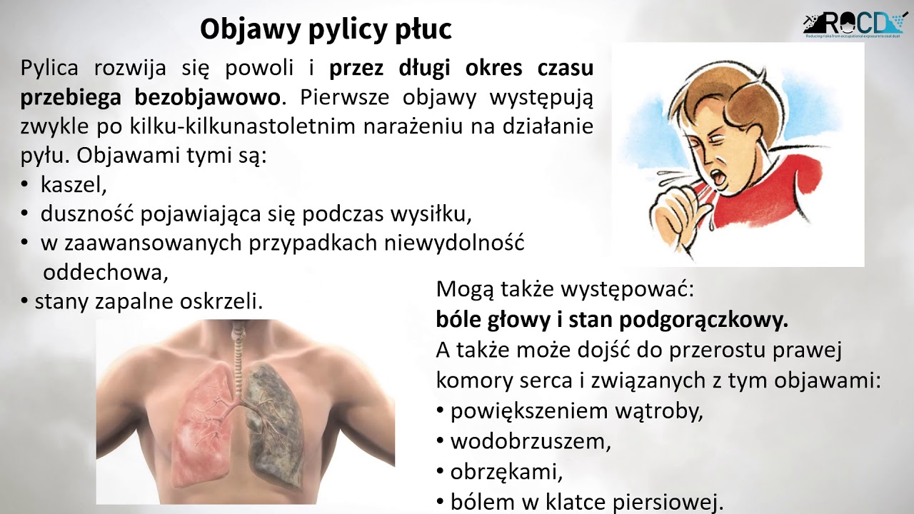 Wentylacja Płuc Zachodzi Na Skutek Pracy Pylica płuc v2 - YouTube