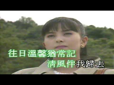 每日懷念你（音樂）徐小鳳