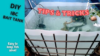 2024 DIY Bait Tank Tips & Tricks (Why This Setup Works Best