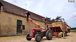 Ramassage de petites bottes de paille l Massey Ferguson l saison 2019 l Part. 5