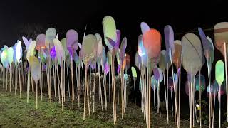 Amsterdam Light Festival 2022