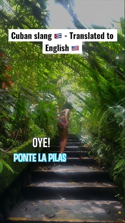 Cuban Slang Translated To English Tag Someone latino latina cuban-slang-translated-to-english-tag-someone-latino-latina