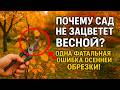 Почему ваш сад НЕ зацветет весной? 🌺 Одна фатальная ошибка осенней обрезки.