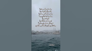 القرآن الكريم - التكوير  ٢٩-٢٢ - علي عبدالسلام