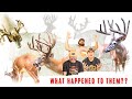 TOP 5 BUCKS THAT GOT AWAY!! 200&quot;+ SUBURBAN Whitetails (Untold Stories)