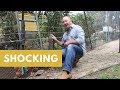 Netting and electric fence to protect your garden and chickens