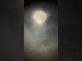 WOLF MOON