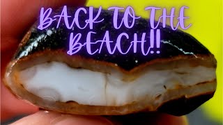 Rockhounding the Beach | Lots of Agates and Petrified Wood