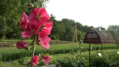 Seed Savers Exchange